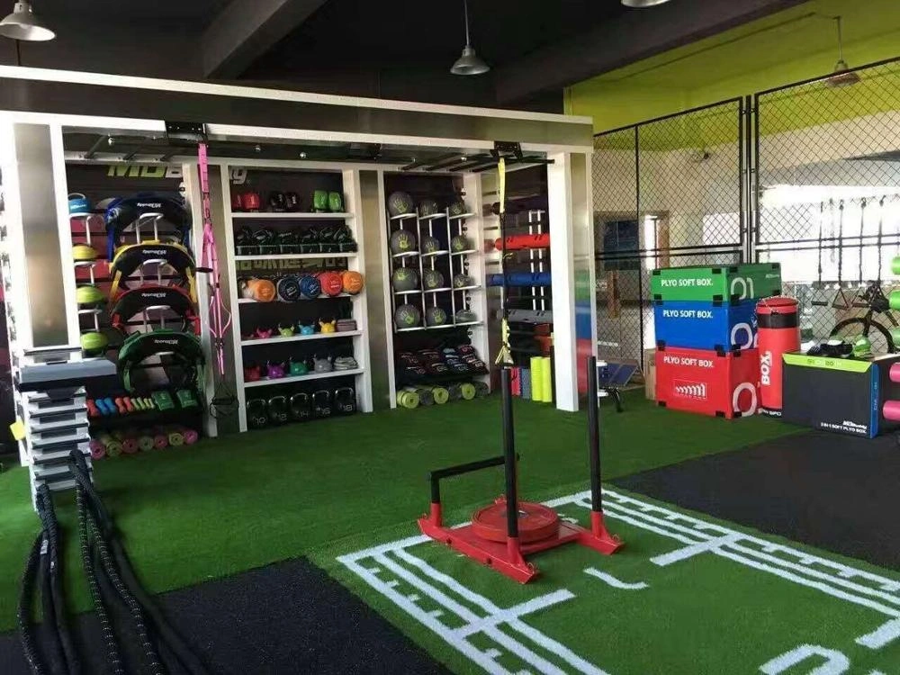 Customized Commercial Gym Equipment Multi Functional Cross Fit Rig